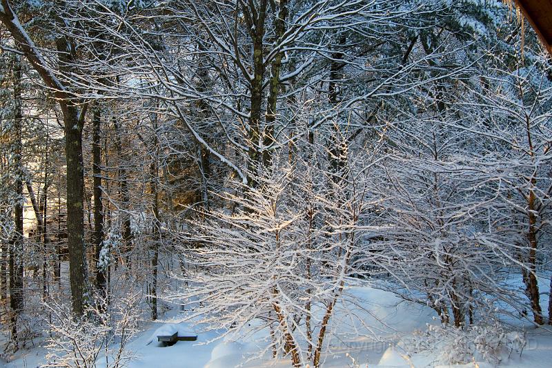 20071228_093710 D2X F.jpg - Winter landscape, Happy Tails, Bridgton, Maine